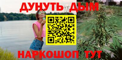 spice Краснознаменск