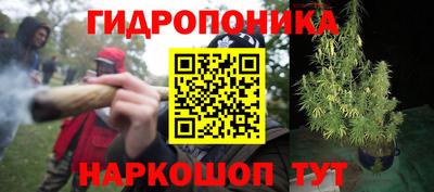 гидра Краснодар
