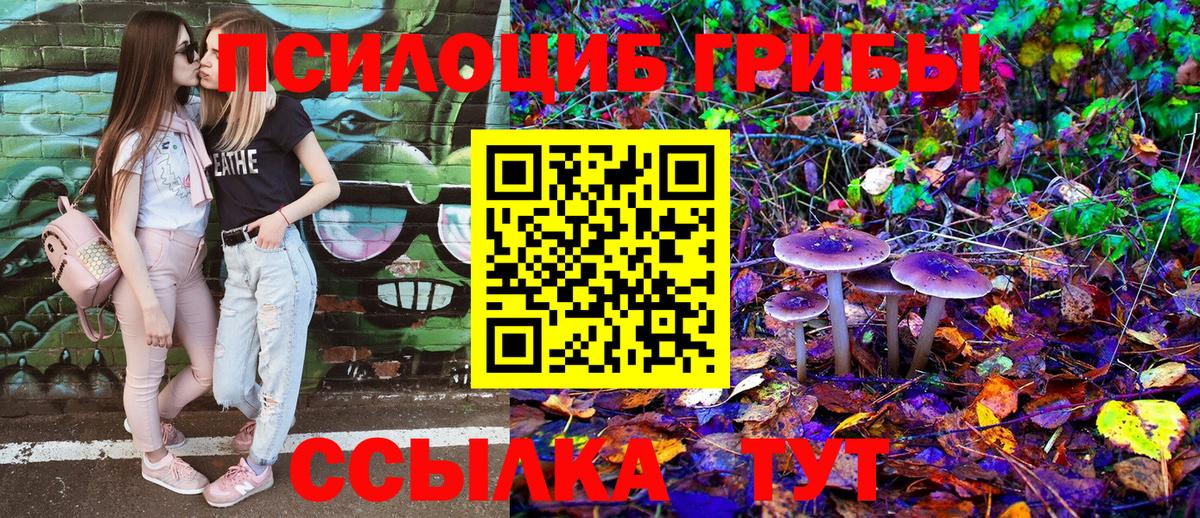 Галлюциногенные грибы мицелий  Вход с VPN  Вологда  Псилоцибиновые грибы MAGIC MUSHROOMS 