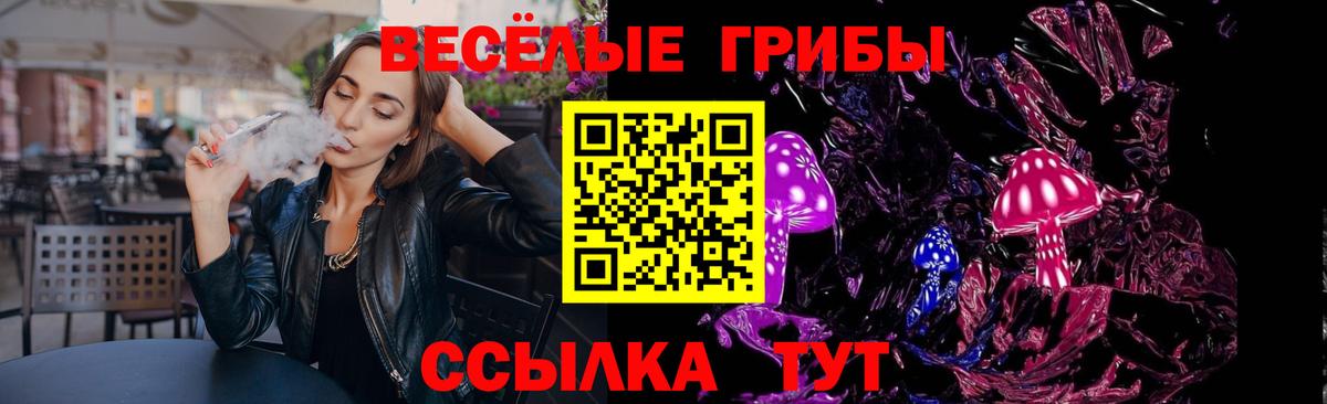 Псилоцибиновые грибы Cubensis Вологда